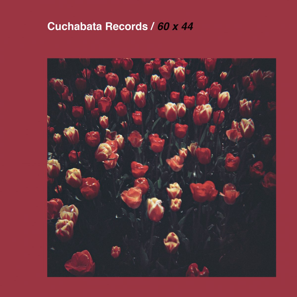 Cuchabata Records presents: 60x44