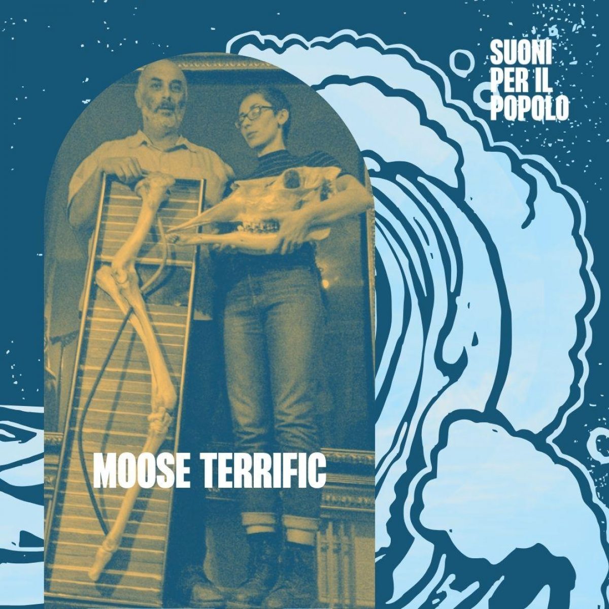 Moose Terrific